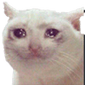 cry