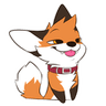 pet_fox