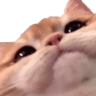 hehe
