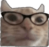 glassescat