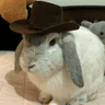 ranchero