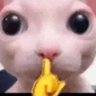 Shhhhh