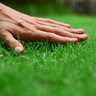 touchgrass