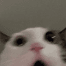emoji_39