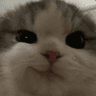 emoji_41