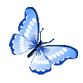 blue_butterfly