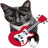 guitarcat