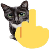 middlefingercat