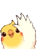 birbwaving