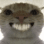 catsmile