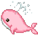 pink_whale82