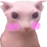 blushingbingus