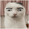 ManfaceCat