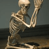 prayskull