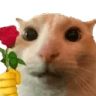 catrose