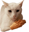 3266cecatwithhands