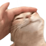 6121goodcat