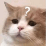 7723cecatquestion
