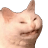 3935_cringecat