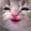 7656happykitty