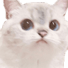 7893_NanaStare