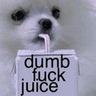 z_dumbjuice
