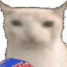 2442cateat