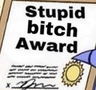 StupidBitchAward