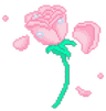 cuteflower