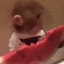 monkeyeat_zc