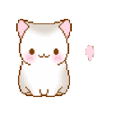 m_kittenkawaii