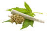 leafjoint