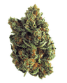 nug