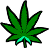 potleaf