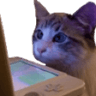 emoji_434
