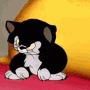 TM_cathmph