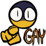 GAY