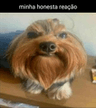 f2834d693e6c15a32dfa1518f87eb77a
