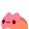 catbounce