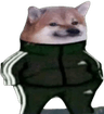 doge_dog