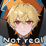 not_real_21