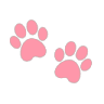 pawprints