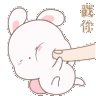 TM_pokebunny