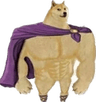 romandoge