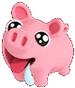 0_pigdrool