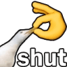 bird_shut