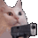 894063998381727835