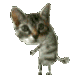 DancingCat