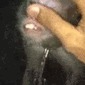r_monkeyslap