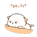 TM_pouts